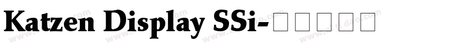 Katzen Display SSi字体转换